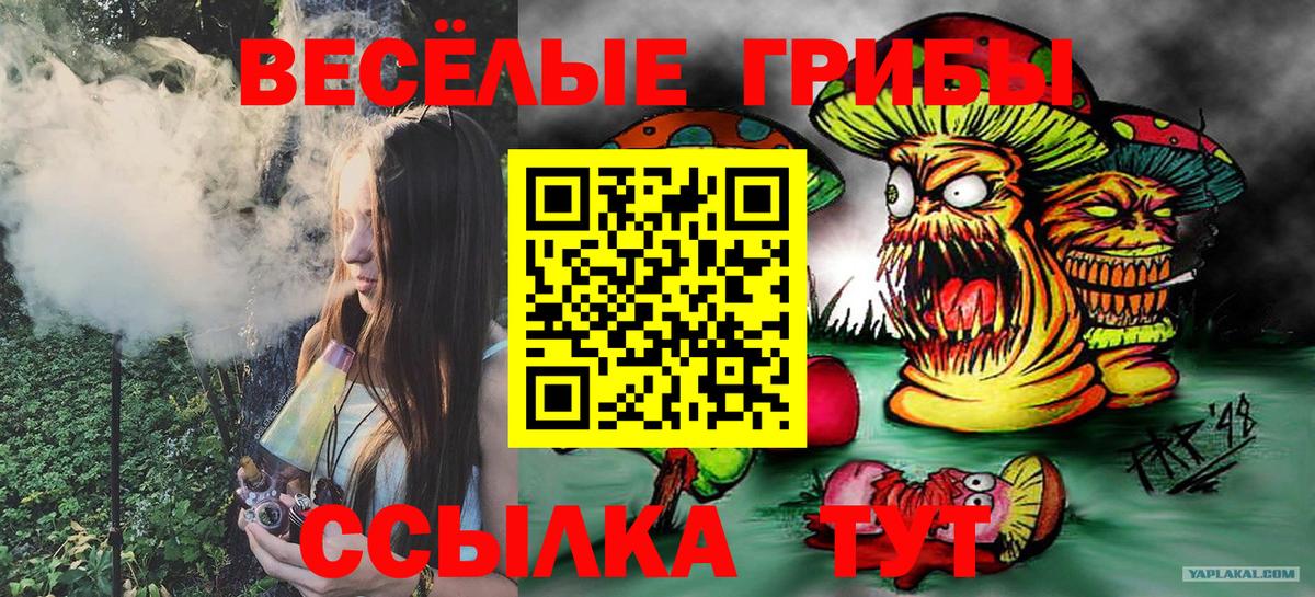 Псилоцибиновые грибы ЛСД Краснодар